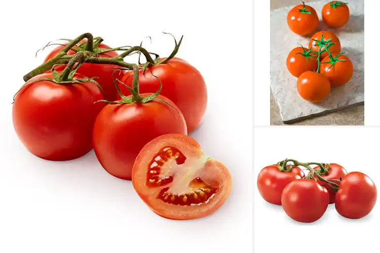 Detailed view of Best Organic Tomatoes On-The-Vine