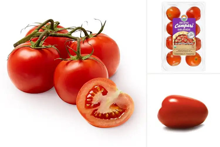 Detailed view of Best Organic Vine Tomatoes