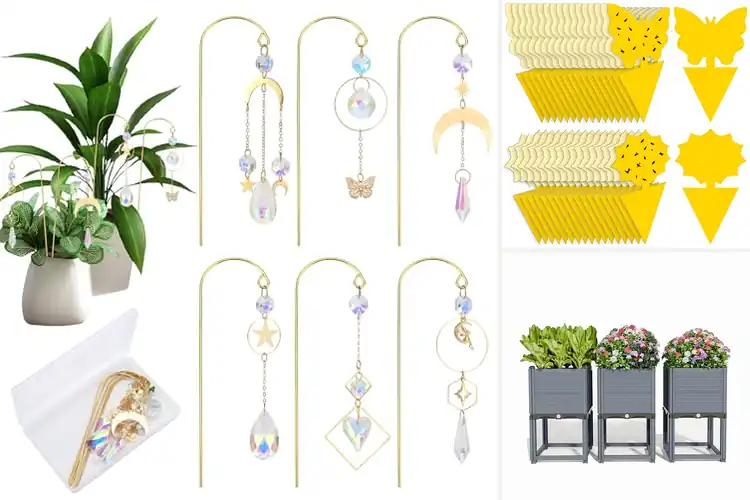 Detailed view of Best Plant Accessories