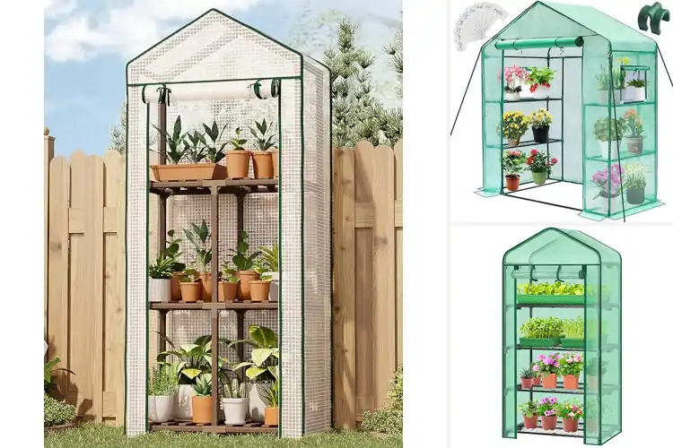 Detailed view of Best Portable Greenhouses: Top 10 Picks for Growing Anywhere