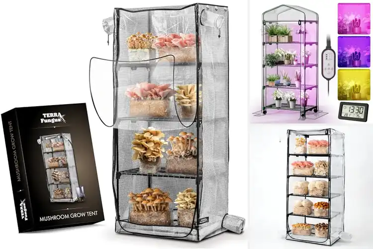 Detailed view of Best Portable Indoor Mushroom Greenhouse