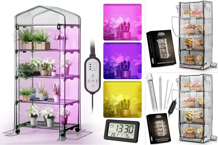 Detailed view of Best Portable Mushroom Greenhouse