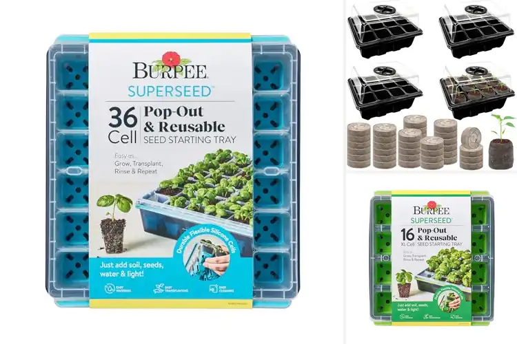 Detailed view of Best Seed Starting Kits