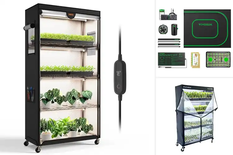 Detailed view of Best Seed Starting Tents: Top 10 Picks for Thriving Plants