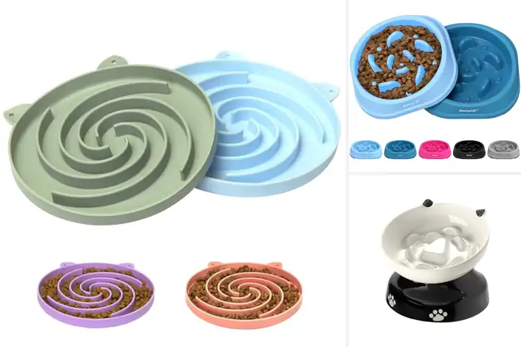 Detailed view of Best Slow Feeding Cat Bowls
