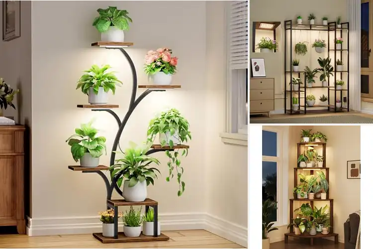 Detailed view of Best Tiered Grow Shelves