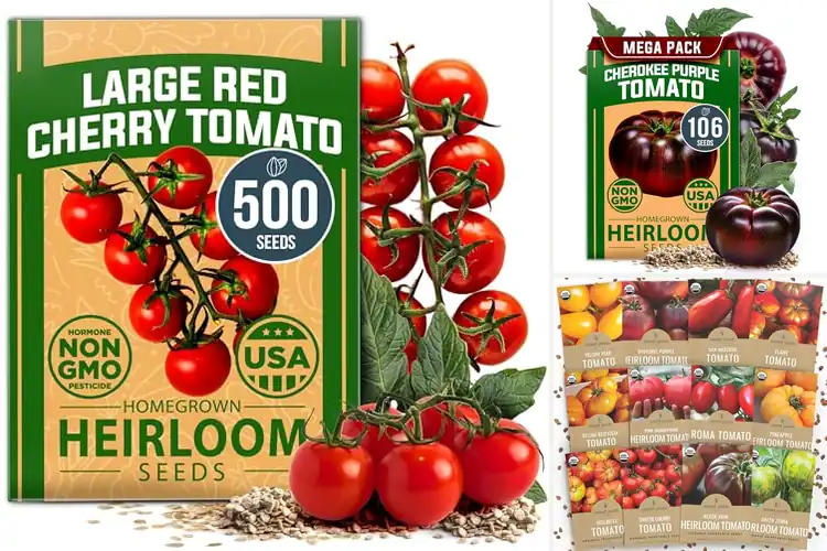 Detailed view of Best Tomato Seeds for a Bountiful Harvest
