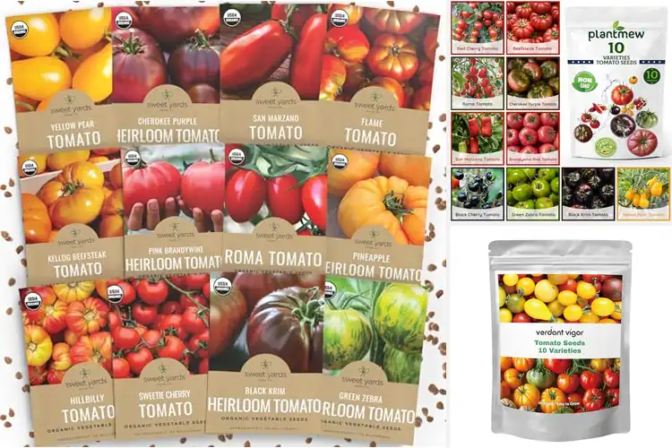 Detailed view of Best Tomato Varieties