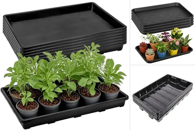 Detailed view of Best Waterproof Greenhouse Trays